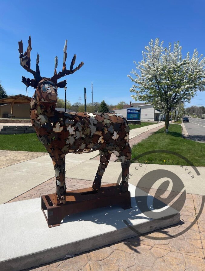 White Tail in it's new home at the Harrison Town Square.